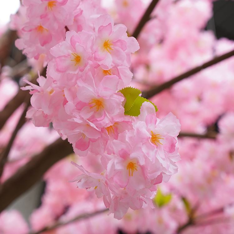 silk cherry tree branches