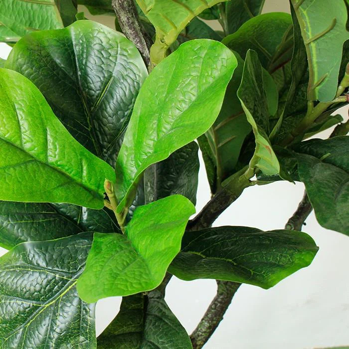 332623dc4725af92b5cdb5fe32fe3b81