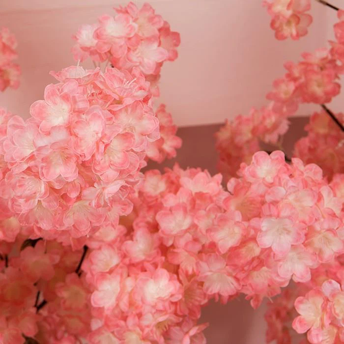 16d67234be2e44bda07b93a09027e204