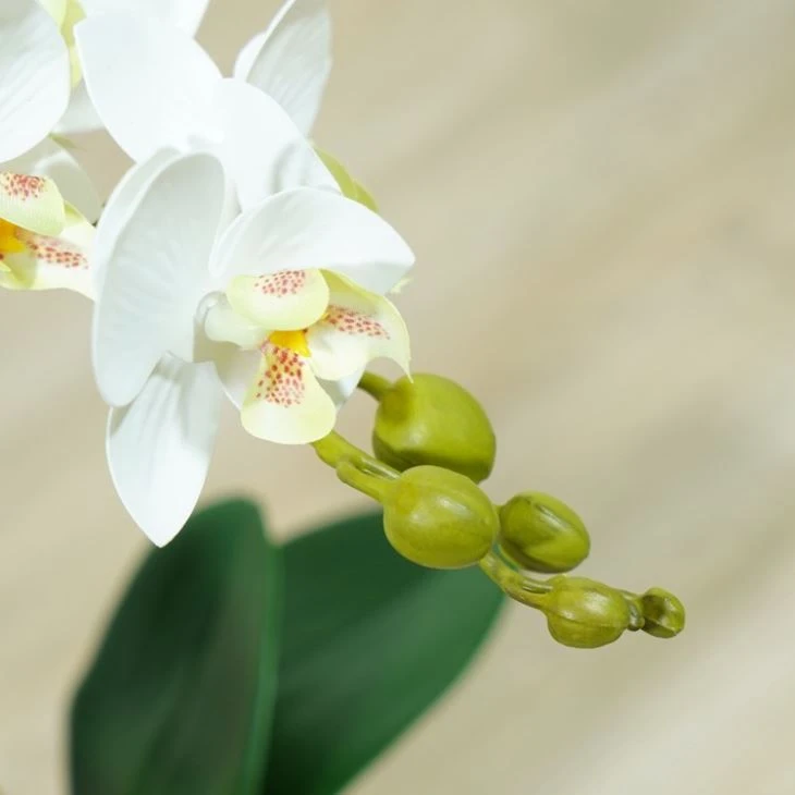 White Phalaenopsis Artificial Butterfly Orchids Lovely Gift Wholesale